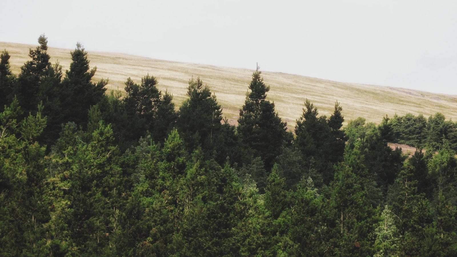 《投資專家祕笈：擇最適合自己的投資組合》