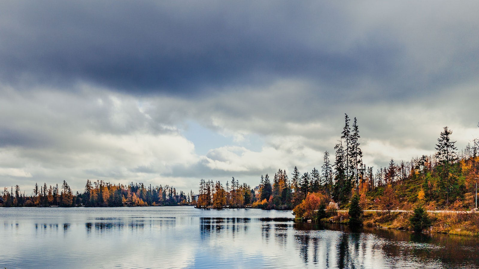 《提升信用評分：光譜之上》
