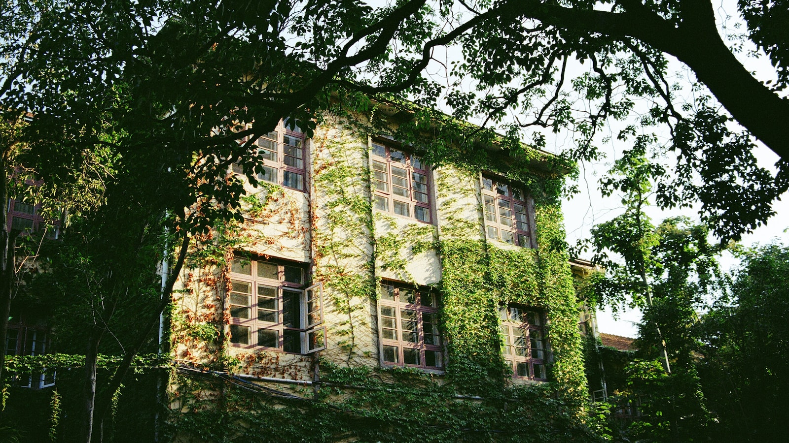 《新手投資人必須認識的資產配置技巧》