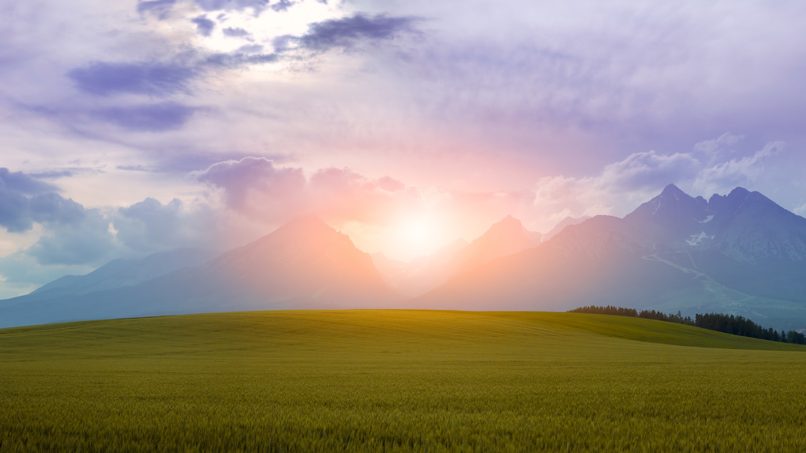 《科技驅動：數位財務管理工具》