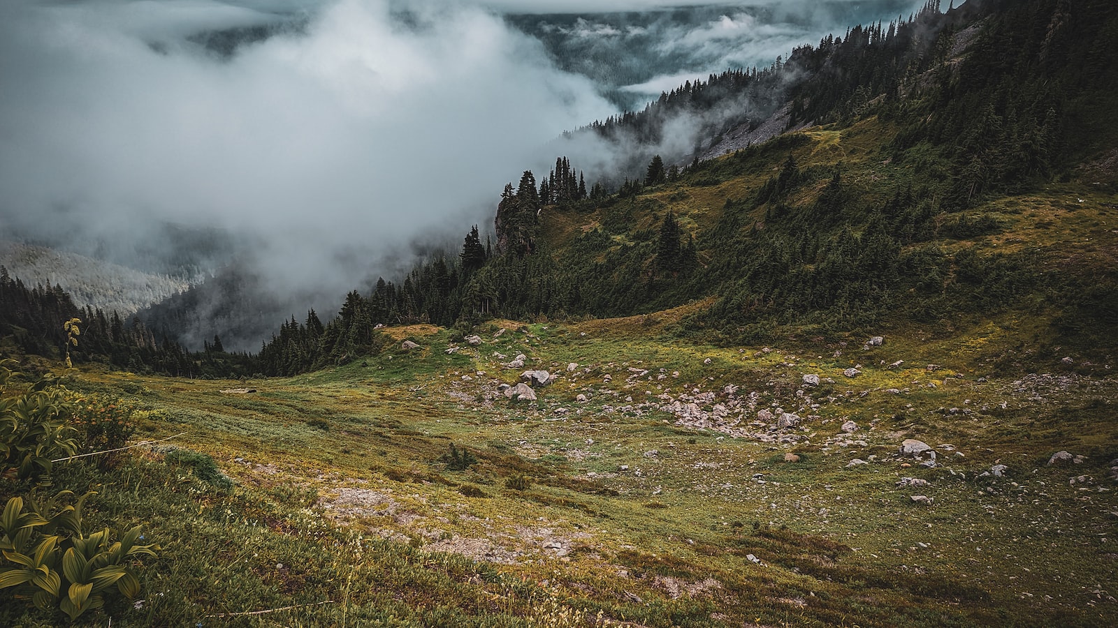 「債務重組」 - 有效解決債務問題的好辦法
