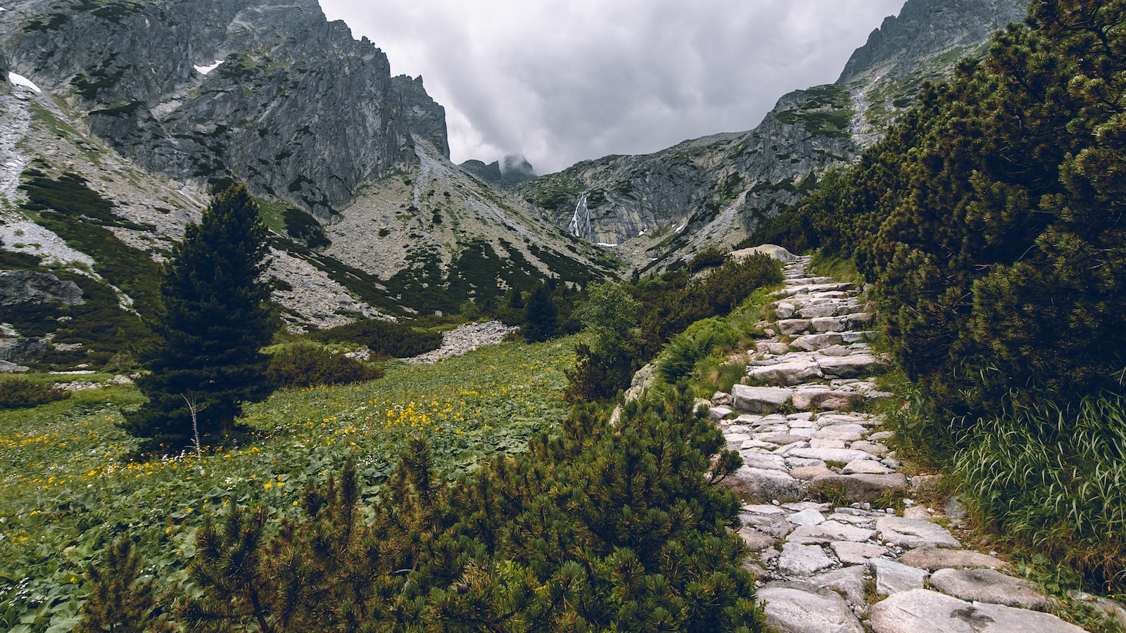 「購房教戰手冊：財務與法律決策必備」