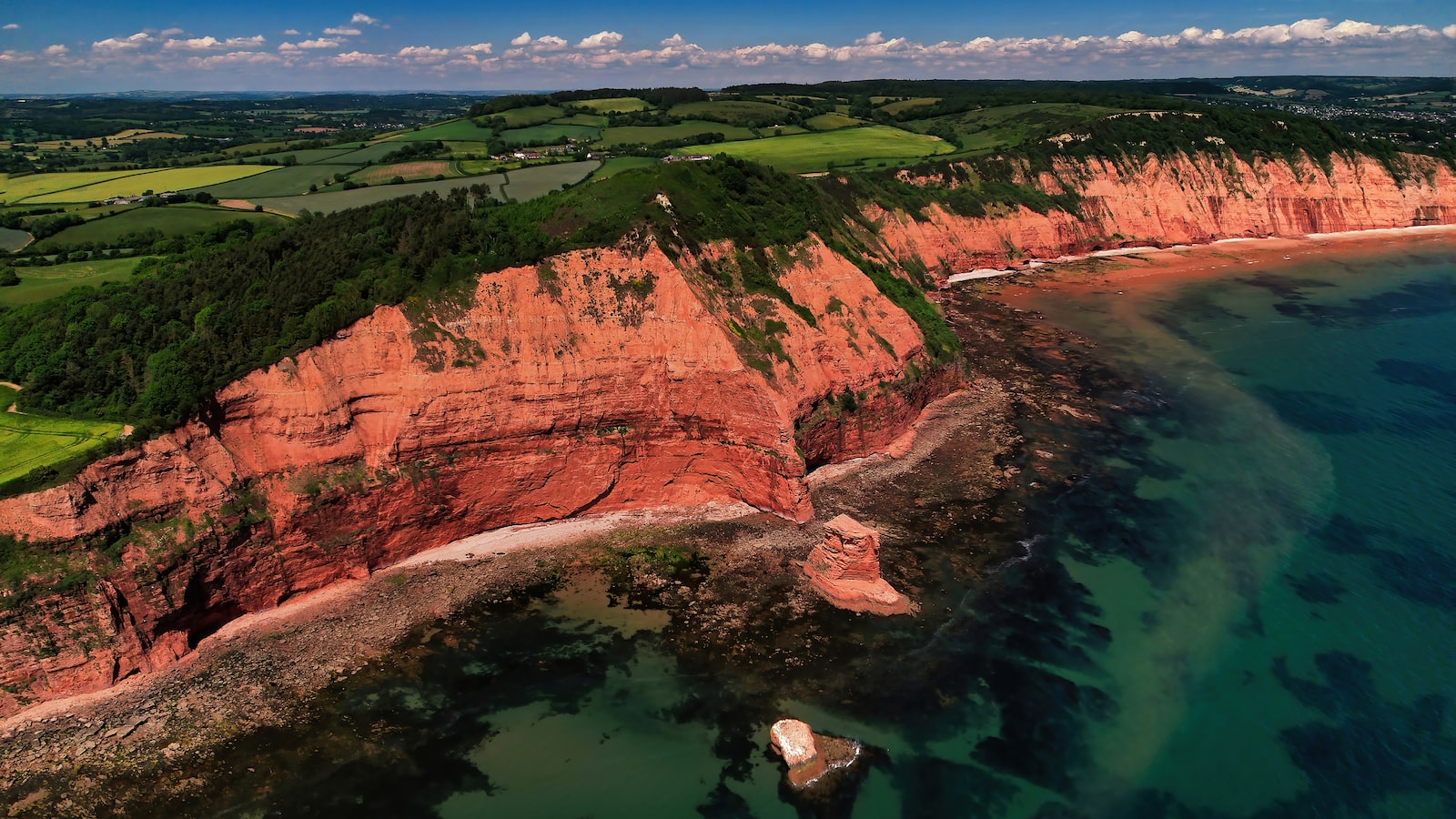 從零開始：破產後的轉機